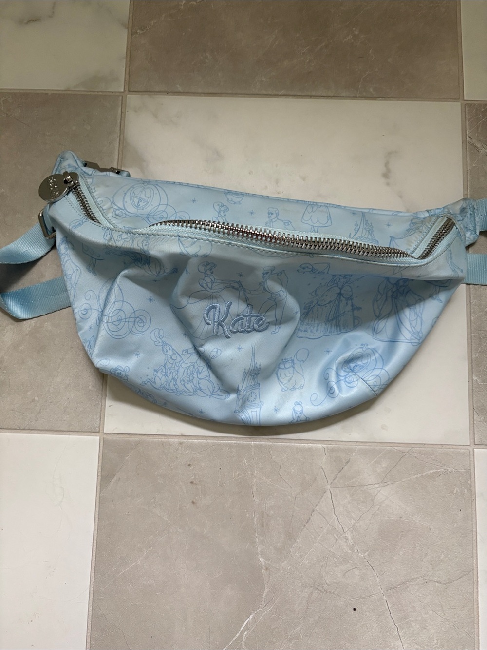 Light Blue Kate Embroidered Belt Bag